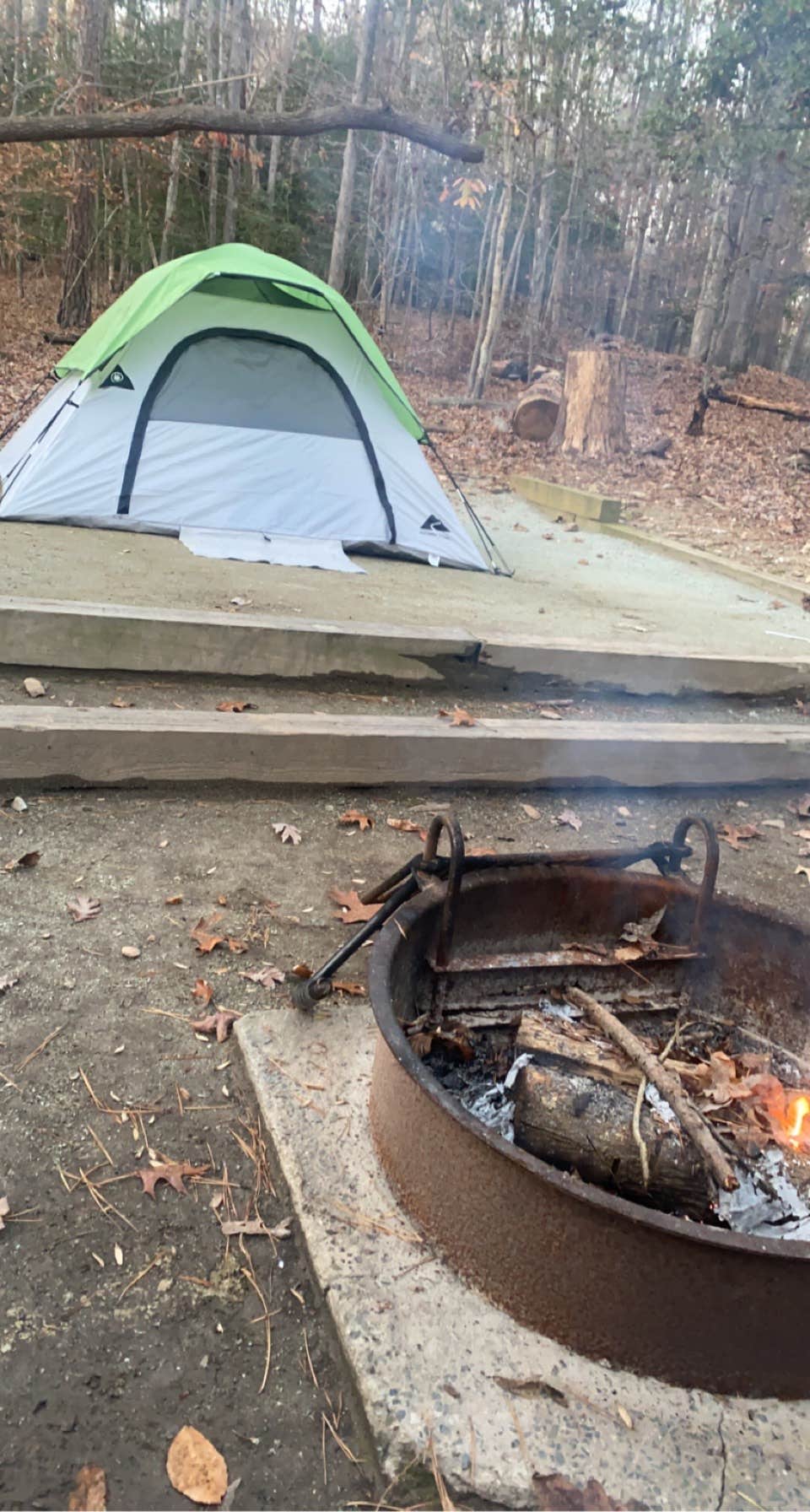 Scarlett C.'s photo at Eno River State Park Campground near Mebane, NC