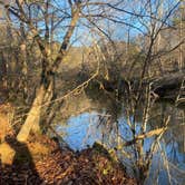 Review photo of Eno River State Park Campground by Scarlett C., November 17, 2022