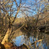 Review photo of Eno River State Park Campground by Scarlett C., November 17, 2022