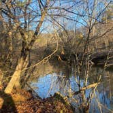 Review photo of Eno River State Park Campground by Scarlett C., November 17, 2022