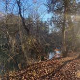 Review photo of Eno River State Park Campground by Scarlett C., November 17, 2022