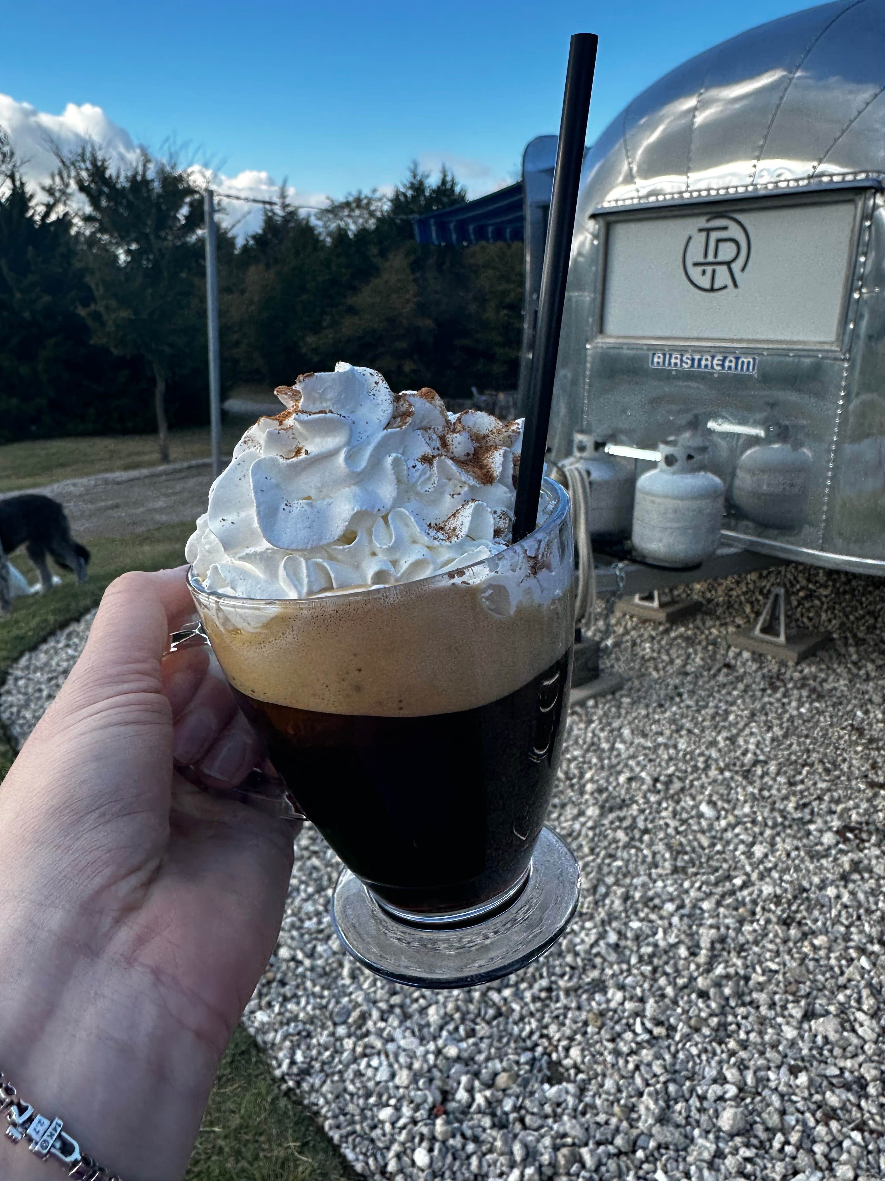 Sara B.'s photo of camping with pets at The Range Vintage Trailer Resort near Bardwell, TX