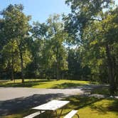 Review photo of Forked Run State Park Campground by Mary S., September 17, 2018