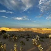 Review photo of Monahans Sandhills State Park Campground by Sara B., November 18, 2022