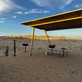 Review photo of Monahans Sandhills State Park Campground by Sara B., November 18, 2022