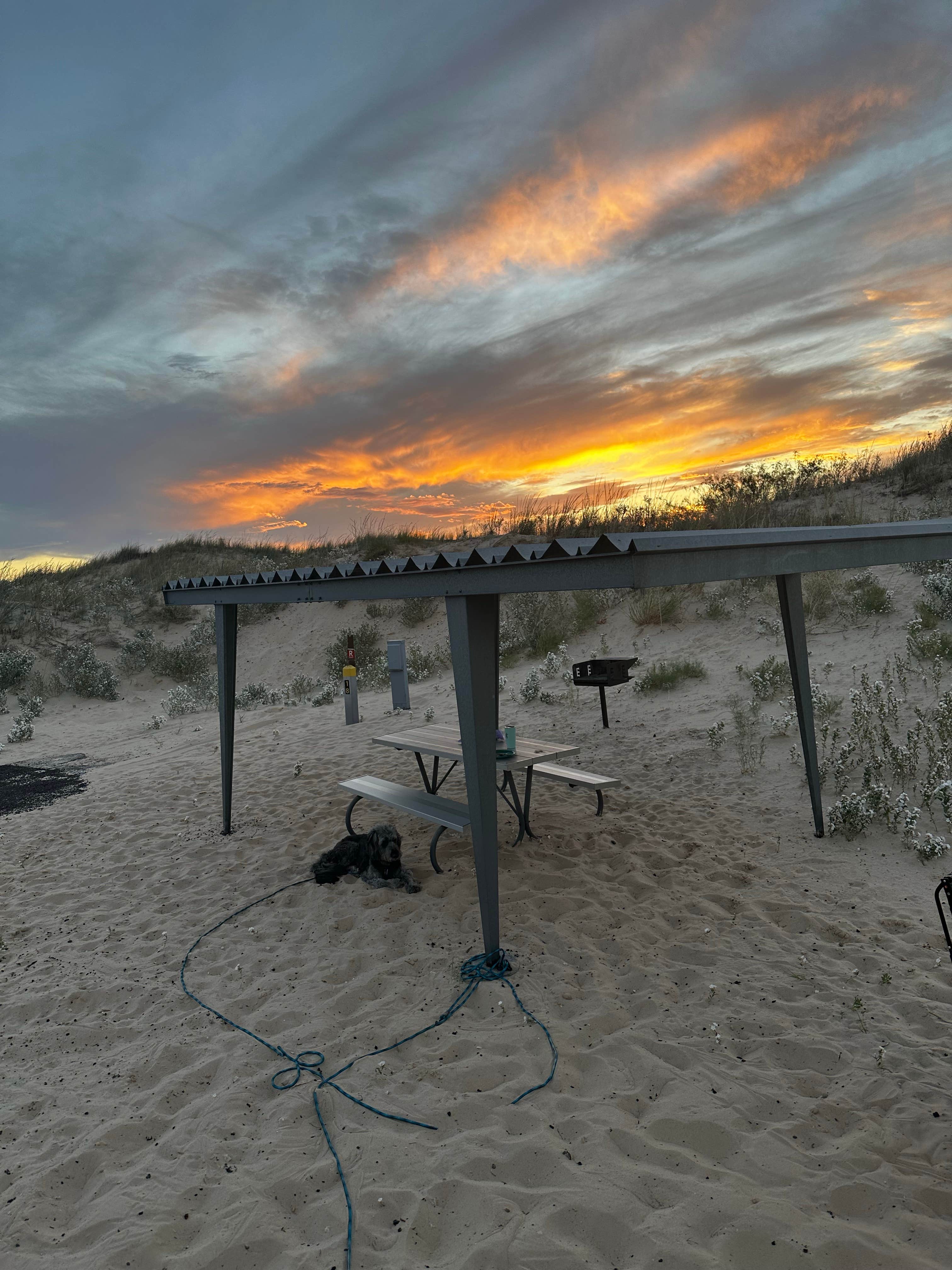Sara B.'s photo of camping with pets at Monahans Sandhills State Park Campground near Jal, NM