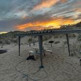 Review photo of Monahans Sandhills State Park Campground by Sara B., November 18, 2022