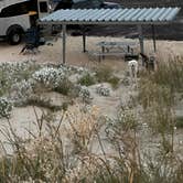 Review photo of Monahans Sandhills State Park Campground by Sara B., November 18, 2022