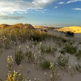 Review photo of Monahans Sandhills State Park Campground by Sara B., November 18, 2022