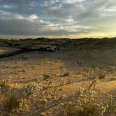 Review photo of Monahans Sandhills State Park Campground by Sara B., November 18, 2022