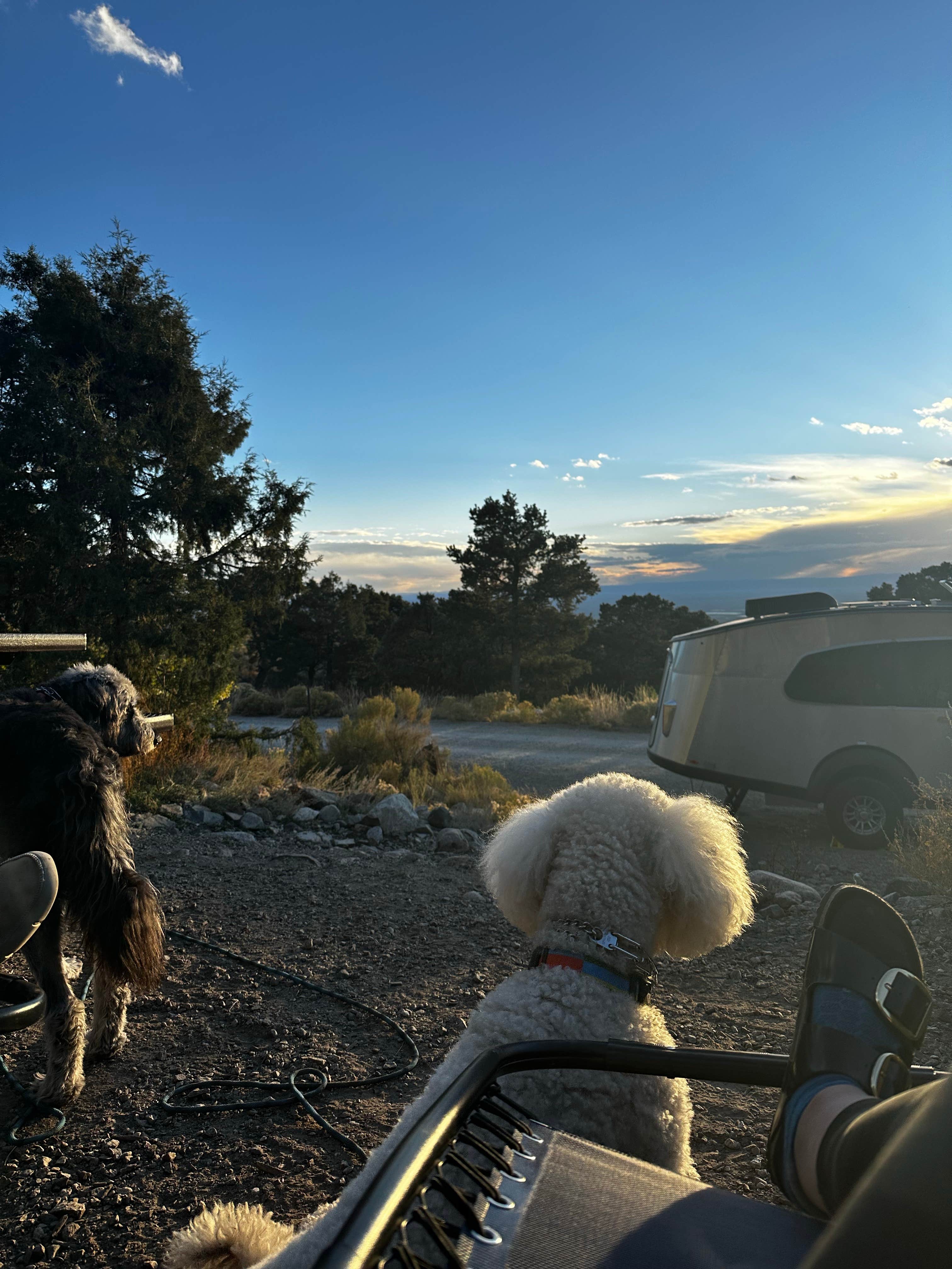 Sara B.'s photo of camping with pets at Zapata Falls Campground near Crestone, CO