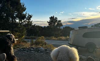Sara B.'s photo of camping with pets at Zapata Falls Campground near Blanca, CO