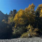 Review photo of Zapata Falls Campground by Sara B., November 18, 2022