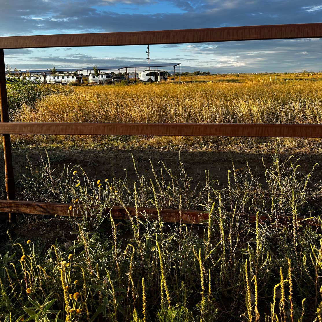 Marfa Yacht Club Camping Marfa, TX