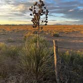 Review photo of Marfa Yacht Club by Sara B., November 18, 2022