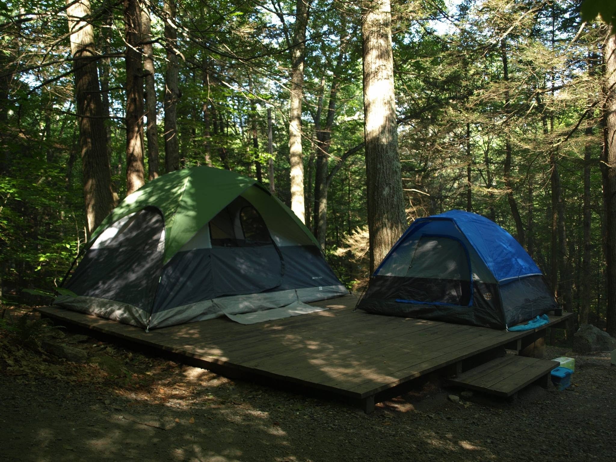 Camper submitted image from Townshend State Park — Townshend State Forest - 1