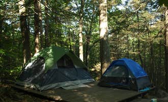 Camping near NV Farms Outfitters and Cabins: Townshend State Park — Townshend State Forest, Townshend Lake, Vermont