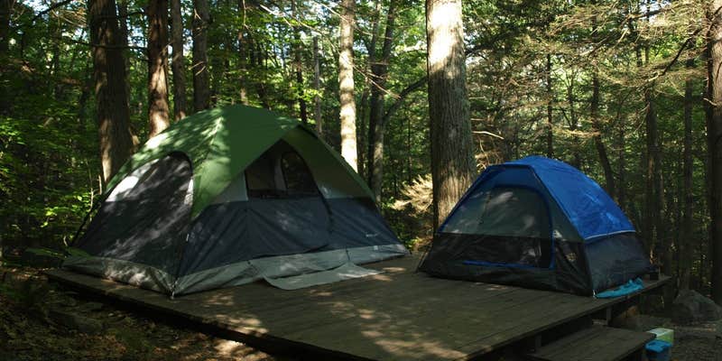 Camper submitted image from Townshend State Park — Townshend State Forest