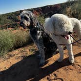 Review photo of Honey Flat Camping Area — Caprock Canyons State Park by Sara B., November 18, 2022