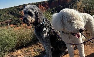 Sara B.'s photo of camping with pets at Honey Flat Camping Area — Caprock Canyons State Park near Childress, TX