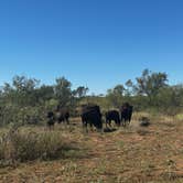 Review photo of Caprock Canyons State Park -  Honey Flat by Sara B., November 18, 2022