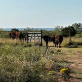 Review photo of Caprock Canyons State Park -  Honey Flat by Sara B., November 18, 2022