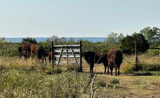 Sara B.'s photo of camping with a horse at Honey Flat Camping Area — Caprock Canyons State Park near Plainview, TX