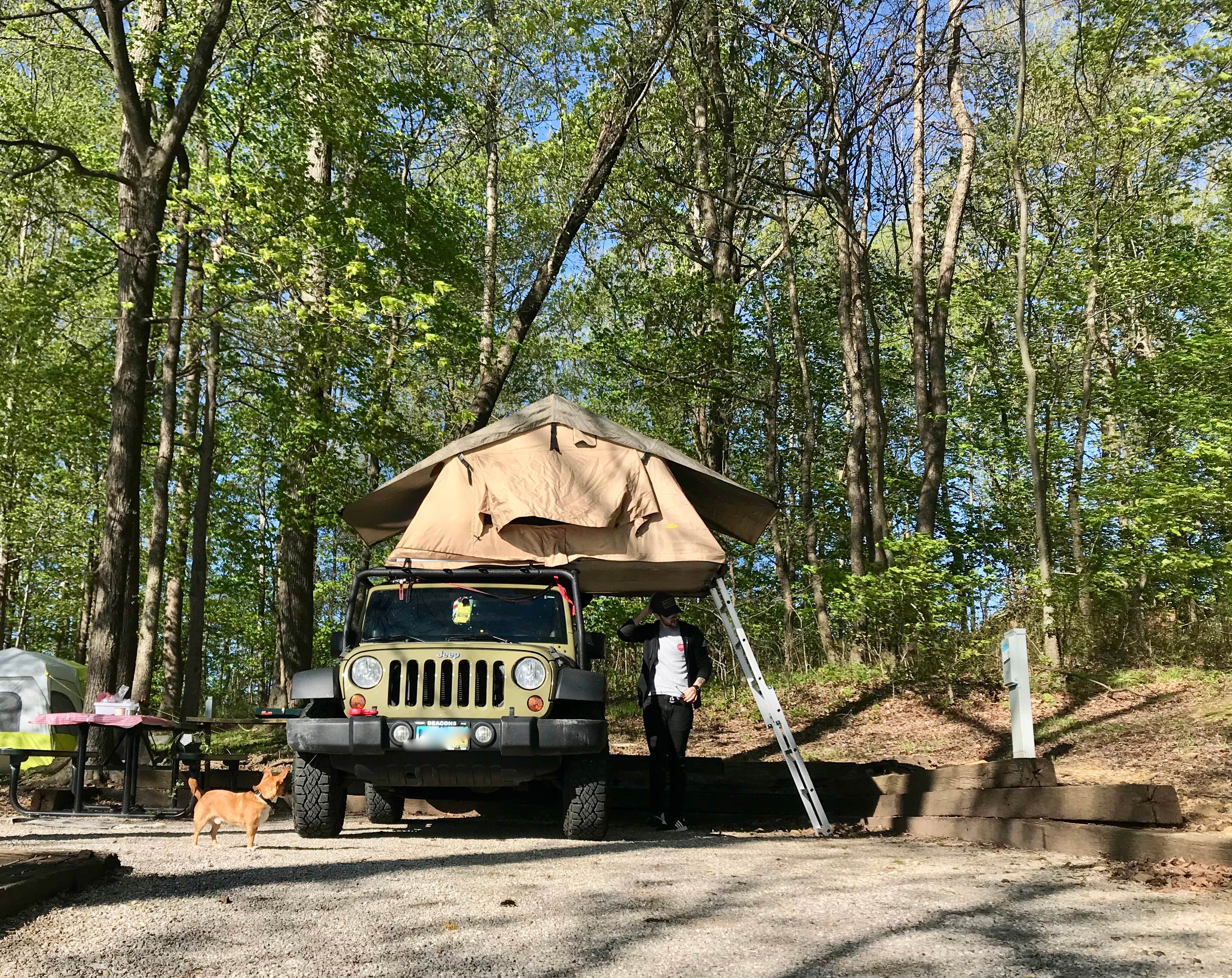 Sarah N.'s photo at Baileys Point near Glasgow, KY