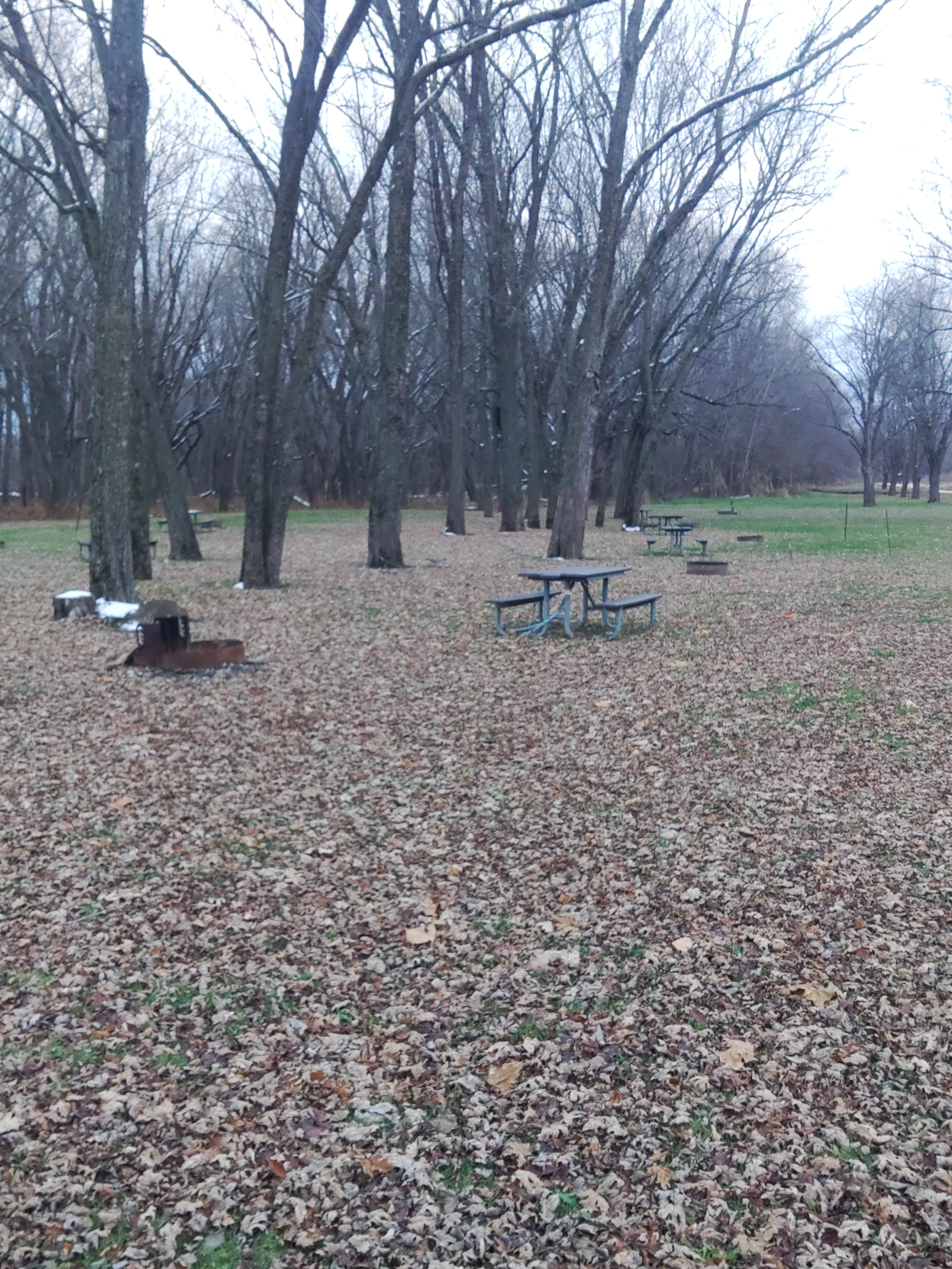 Camper-submitted photo at COE Mississippi River Recreation Areas Pleasant Creek near La Motte, IA