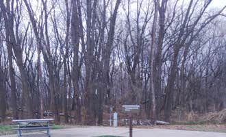 Camping near Olde Massey Campground and RV Park: COE Mississippi River Recreation Areas Pleasant Creek, La Motte, Iowa