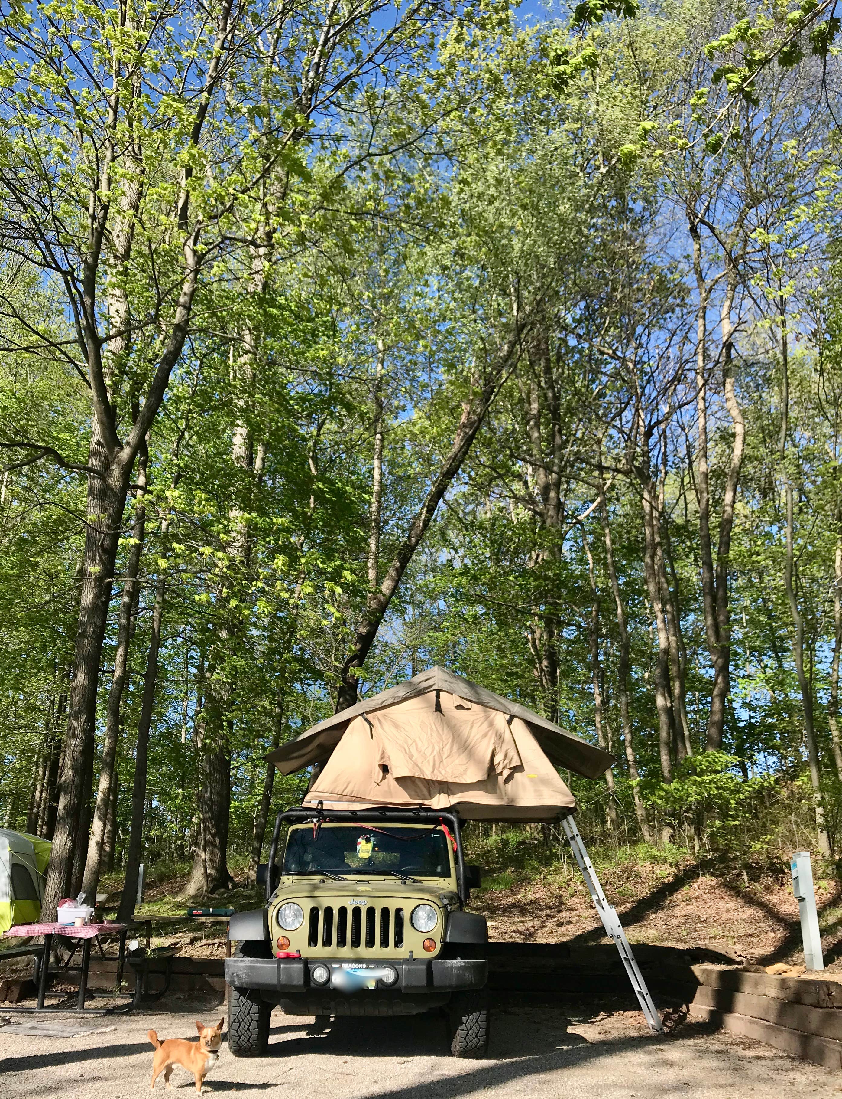 Sarah N.'s photo at Baileys Point near Glasgow, KY