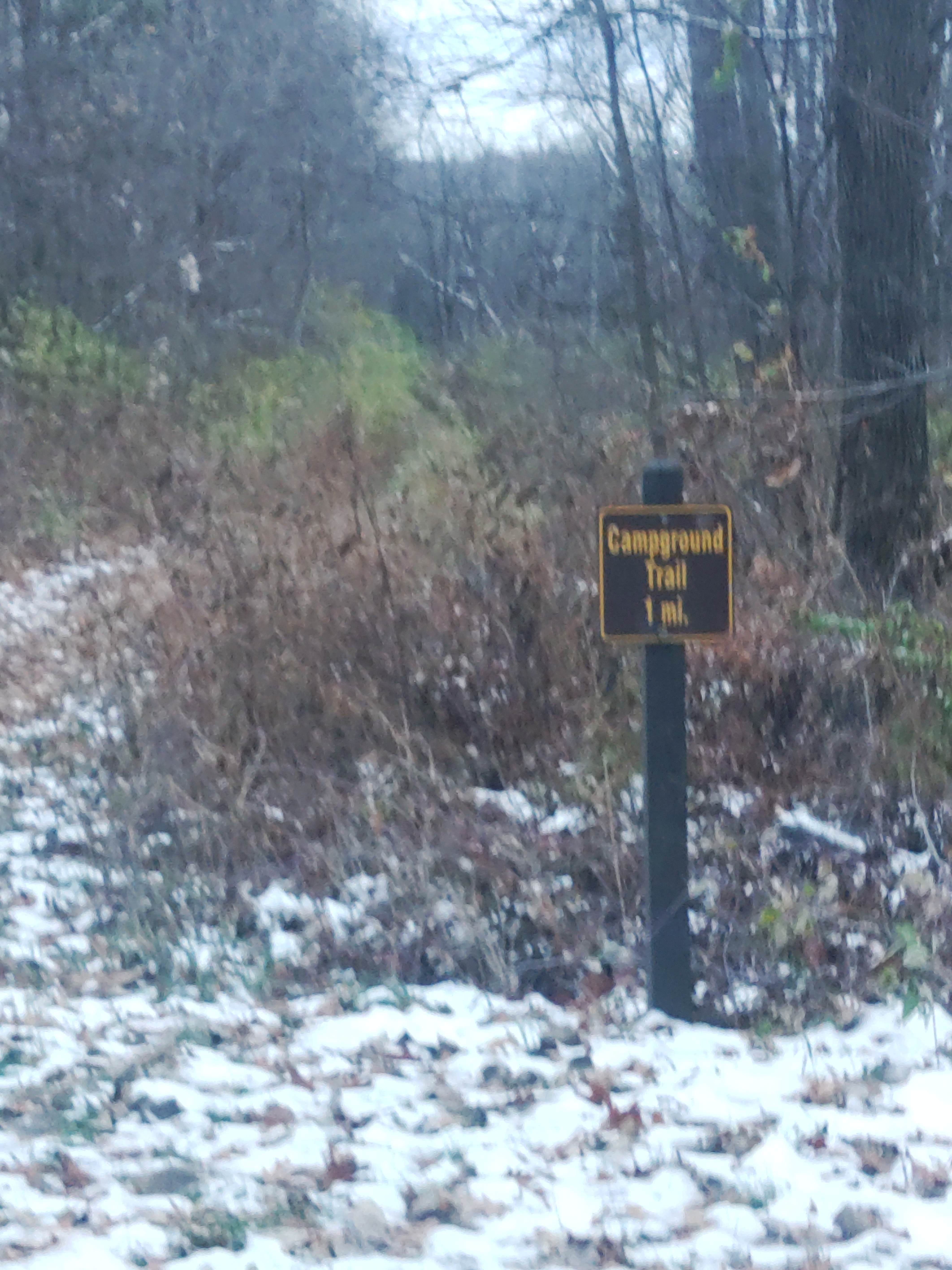 Camper-submitted photo at Bellevue State Park Campground — Dyas Unit near Savanna, IL