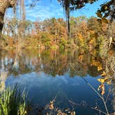 Review photo of COE Walter F George Lake Bluff Creek Campground by Steve G., November 18, 2022