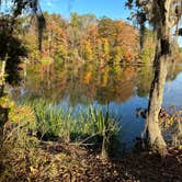 Review photo of COE Walter F George Lake Bluff Creek Campground by Steve G., November 18, 2022