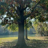 Review photo of COE Walter F George Lake Bluff Creek Campground by Steve G., November 18, 2022