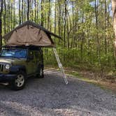 Review photo of Foster Falls Campground — South Cumberland State Park by Sarah N., September 17, 2018