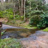 Review photo of Jacks River Fields Campground — Chattahoochee Oconee National Forest by Sarah N., September 17, 2018