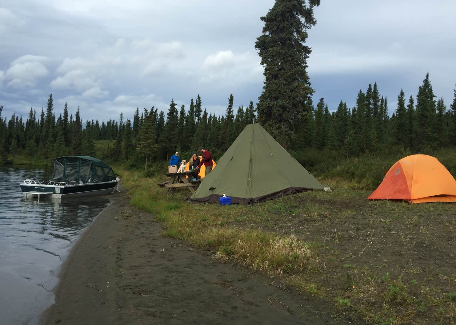 Paxson Lake Campground Camping The Dyrt