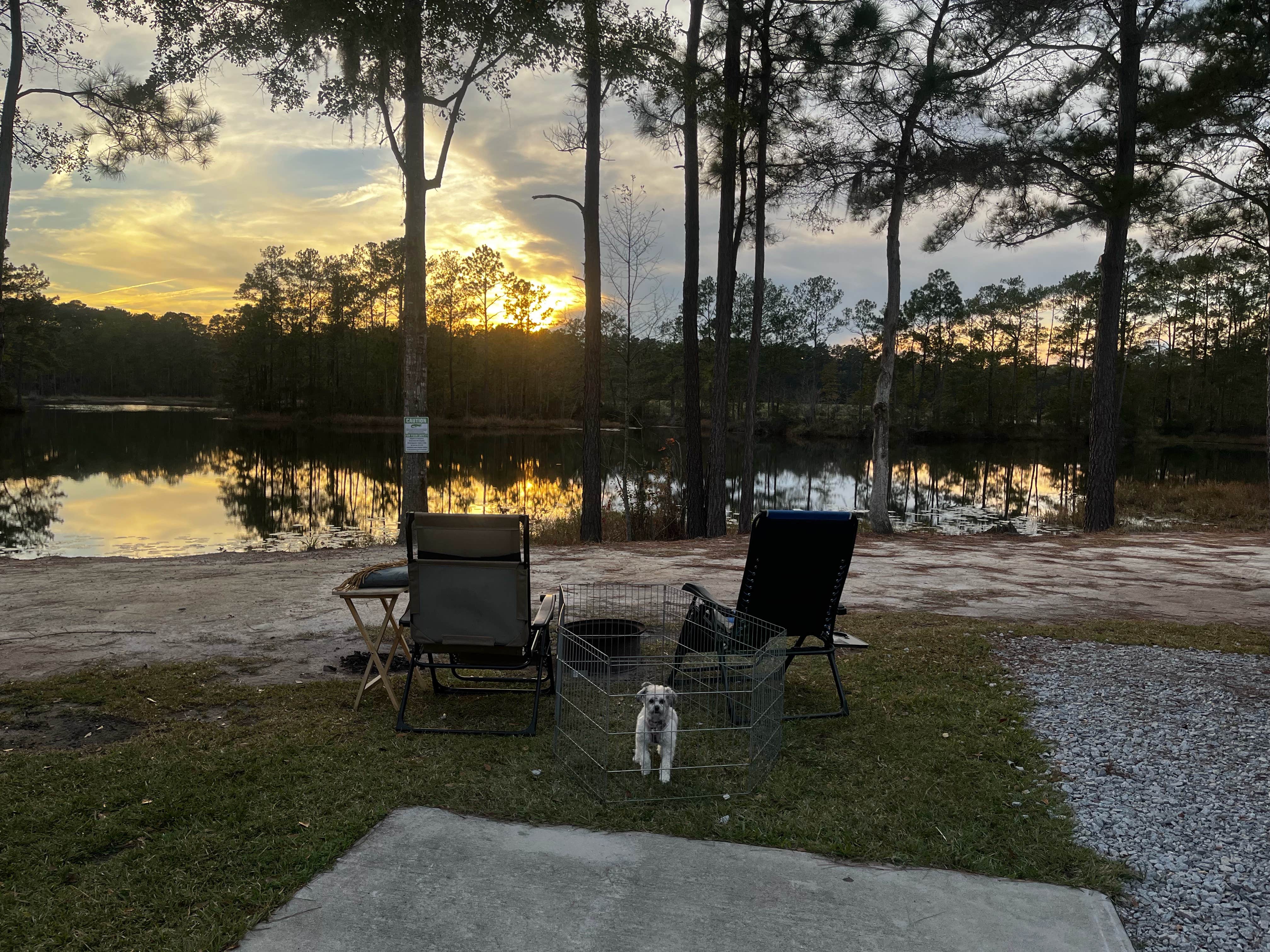 Chonnie T.'s photo of camping with pets at Lake Jasper RV Park near Hardeeville, SC