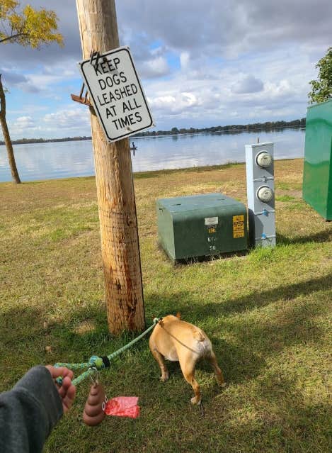 Tori K.'s photo of camping with pets at Lake Ripley County Park Campground near Melrose, MN