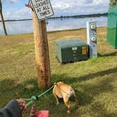 Review photo of Lake Ripley County Park Campground by Tori K., November 19, 2022