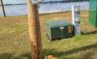 Tori K.'s photo of camping with pets at Lake Ripley County Park Campground near Willmar, MN