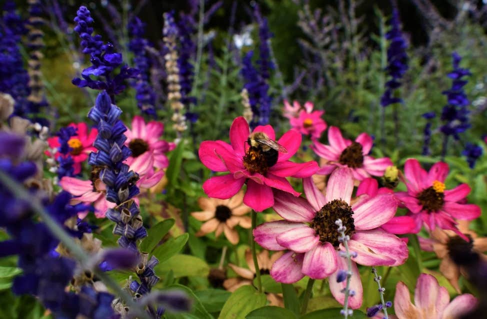 Camper-submitted photo at Lake Ripley County Park Campground near Dassel, MN