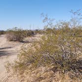 Review photo of Gunsight Wash BLM Dispersed camping area by Wayne H., November 19, 2022