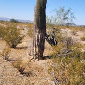 Review photo of Gunsight Wash BLM Dispersed camping area by Wayne H., November 19, 2022