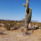 Review photo of Gunsight Wash BLM Dispersed camping atea by Wayne H., November 19, 2022