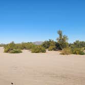 Review photo of Gunsight Wash BLM Dispersed camping area by Wayne H., November 19, 2022