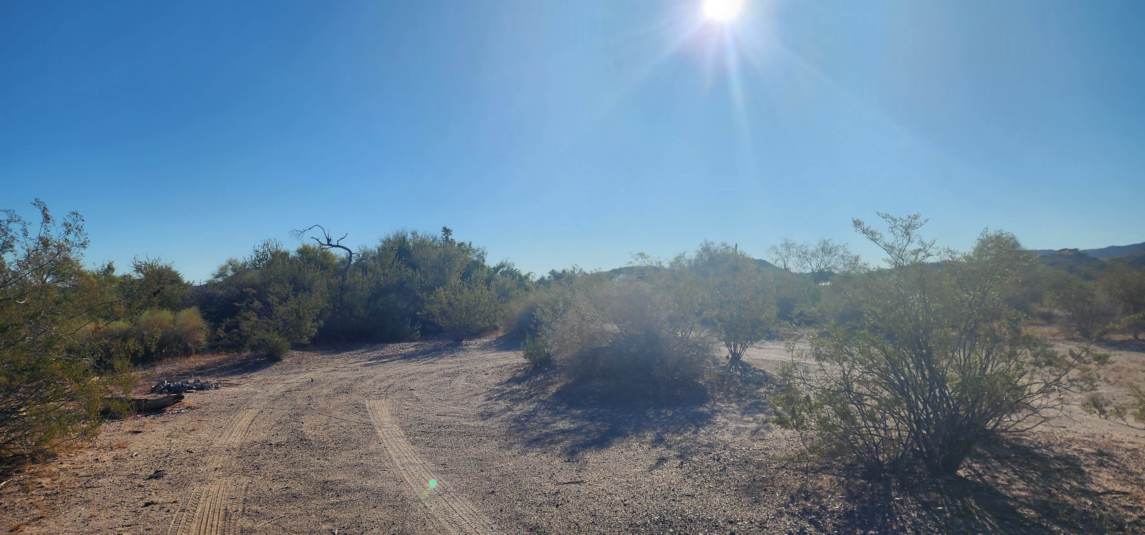 Wayne H.'s photo of a dispersed camping area at Gunsight Wash BLM Dispersed camping area near Organ Pipe Cactus National Monument