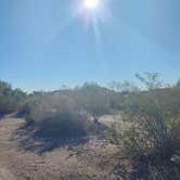 Review photo of Gunsight Wash BLM Dispersed camping area by Wayne H., November 19, 2022