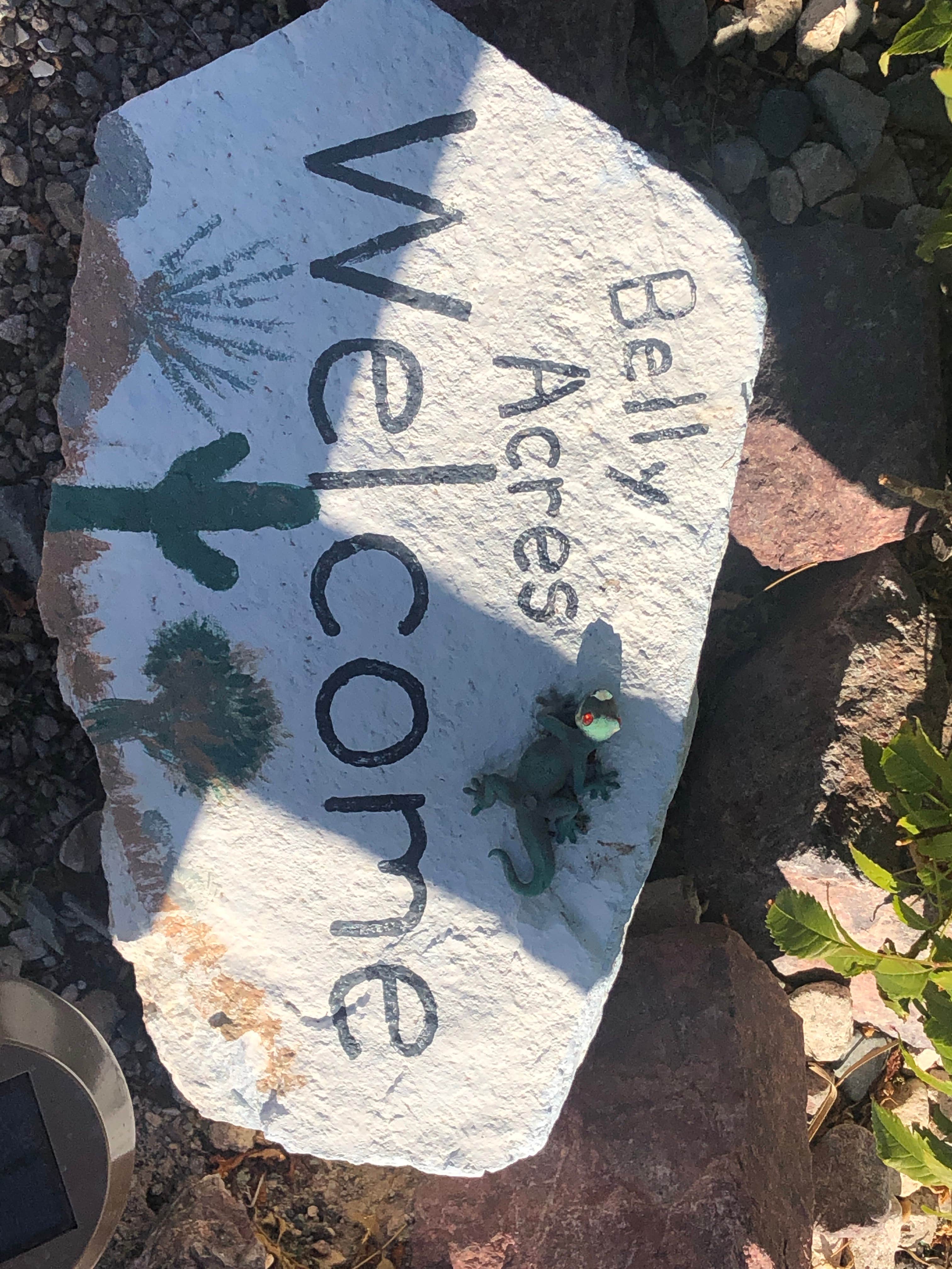 Camper-submitted photo at Belly Acres RV Park near Ajo, AZ